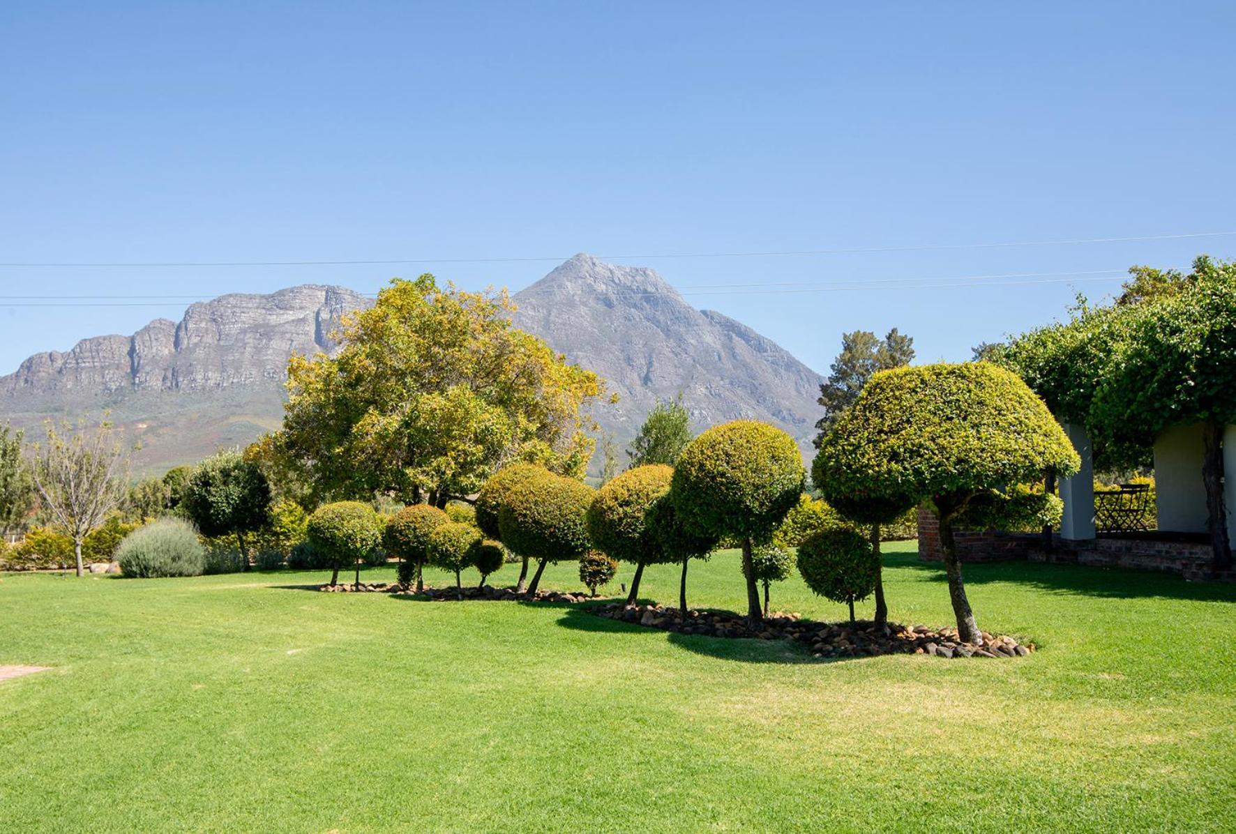 Saronsberg Vineyard Cottages Tulbagh Eksteriør bilde