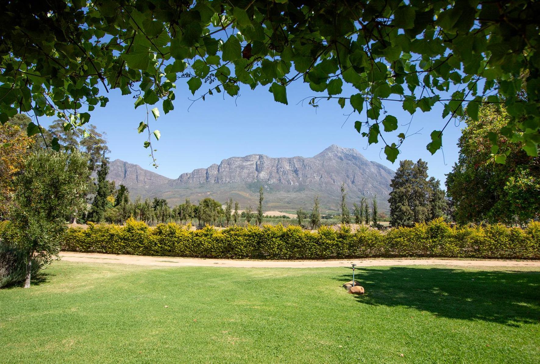 Saronsberg Vineyard Cottages Tulbagh Eksteriør bilde