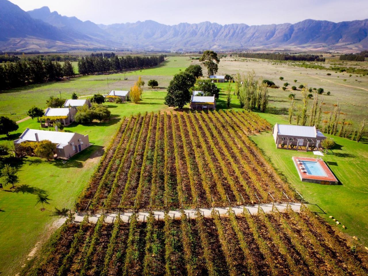Saronsberg Vineyard Cottages Tulbagh Eksteriør bilde